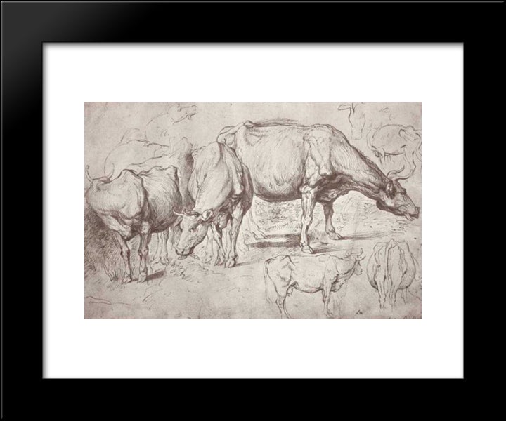 Cows 20x24 Black Modern Wood Framed Art Print Poster by Rubens, Peter Paul