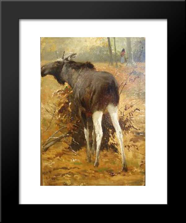 Browsing Moose 20x24 Black Modern Wood Framed Art Print Poster by Friese, Richard