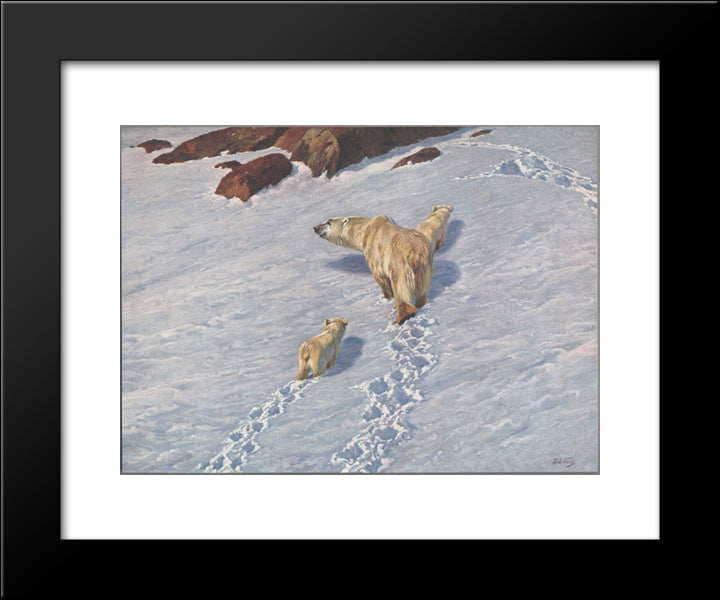 Polar Bear Family 20x24 Black Modern Wood Framed Art Print Poster by Friese, Richard