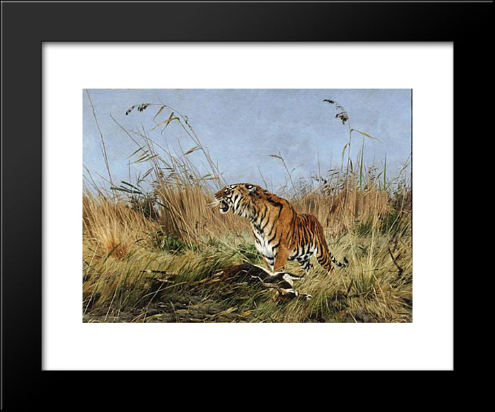 The Tiger 20x24 Black Modern Wood Framed Art Print Poster by Friese, Richard