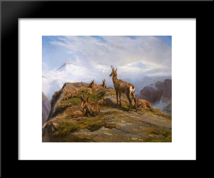 Chamois 20x24 Black Modern Wood Framed Art Print Poster by Bonheur, Rosa