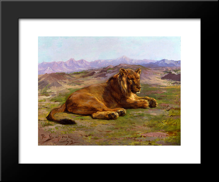 Couching Lion 20x24 Black Modern Wood Framed Art Print Poster by Bonheur, Rosa