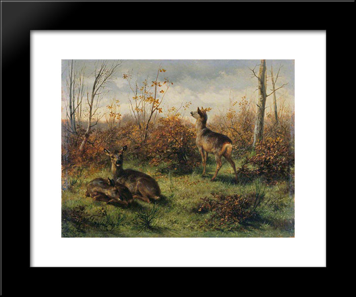 Roe Deer 20x24 Black Modern Wood Framed Art Print Poster by Bonheur, Rosa