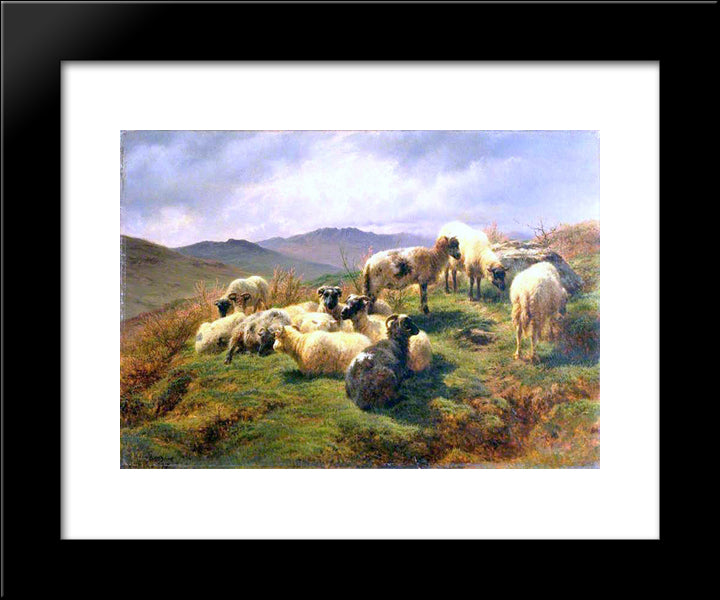 Sheep In The Highlands 20x24 Black Modern Wood Framed Art Print Poster by Bonheur, Rosa