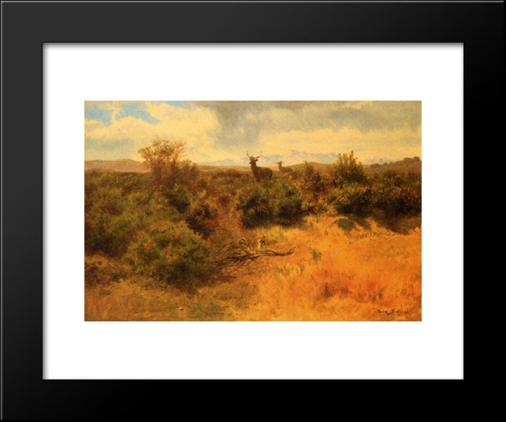 Stag And Doe In A Landscape 20x24 Black Modern Wood Framed Art Print Poster by Bonheur, Rosa
