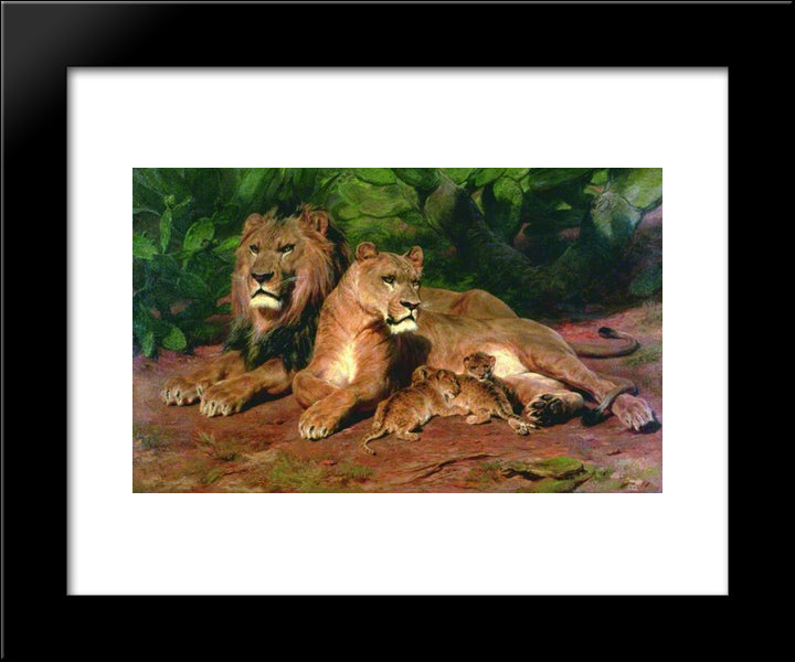 The Lion At Home 20x24 Black Modern Wood Framed Art Print Poster by Bonheur, Rosa