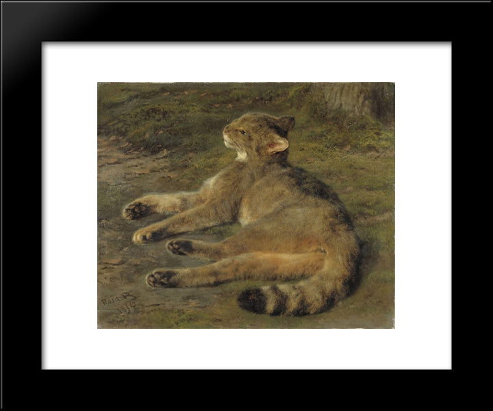 Wild Cat 20x24 Black Modern Wood Framed Art Print Poster by Bonheur, Rosa