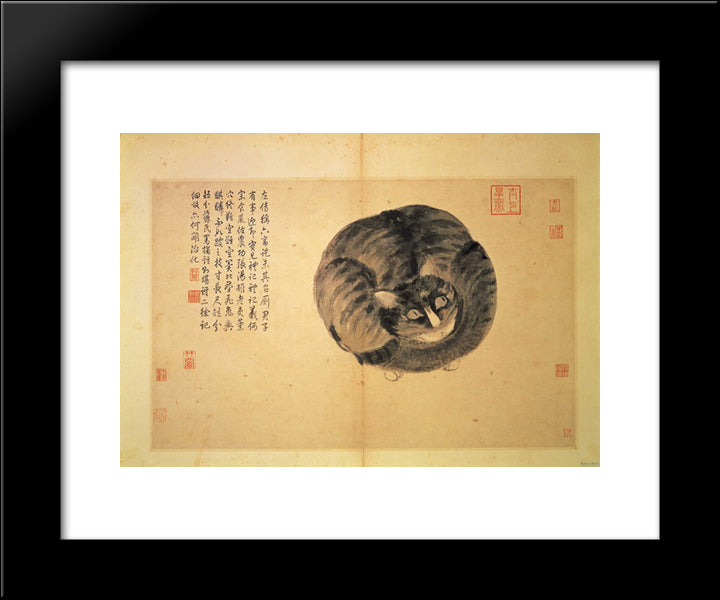 Cat (Sketches From Life) 20x24 Black Modern Wood Framed Art Print Poster by Zhou, Shen