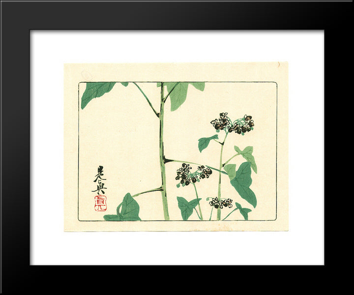 Flowering Plant - Hana Kurabe 20x24 Black Modern Wood Framed Art Print Poster by Zeshin, Shibata