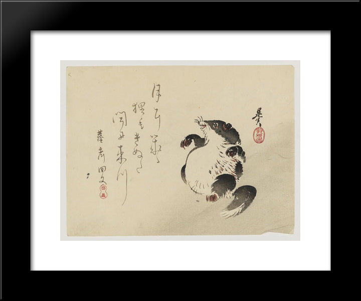 Racoon-Dog (Tanuki) 20x24 Black Modern Wood Framed Art Print Poster by Zeshin, Shibata
