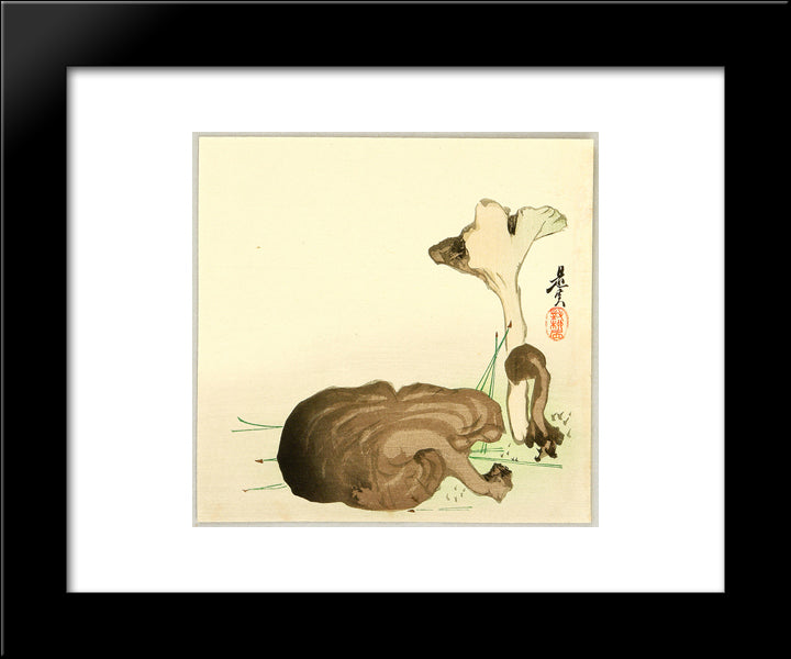 Wild Mushrooms 20x24 Black Modern Wood Framed Art Print Poster by Zeshin, Shibata