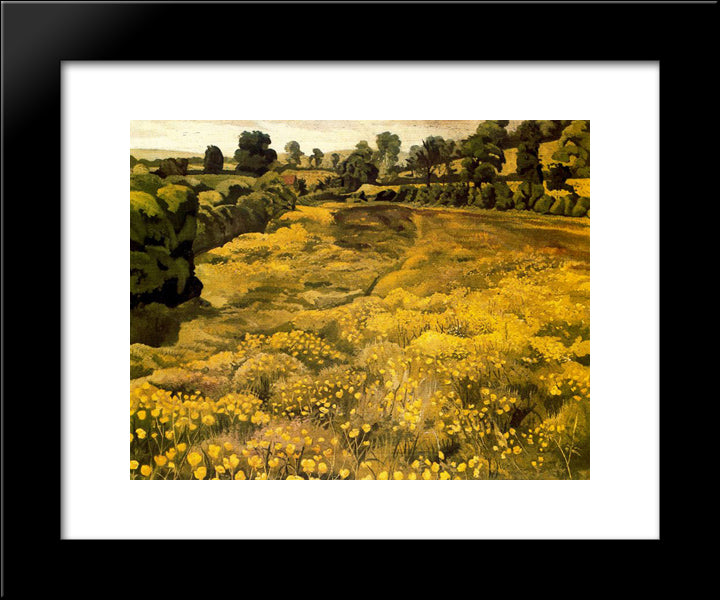 Buttercups In A Meadow 20x24 Black Modern Wood Framed Art Print Poster by Spencer, Stanley