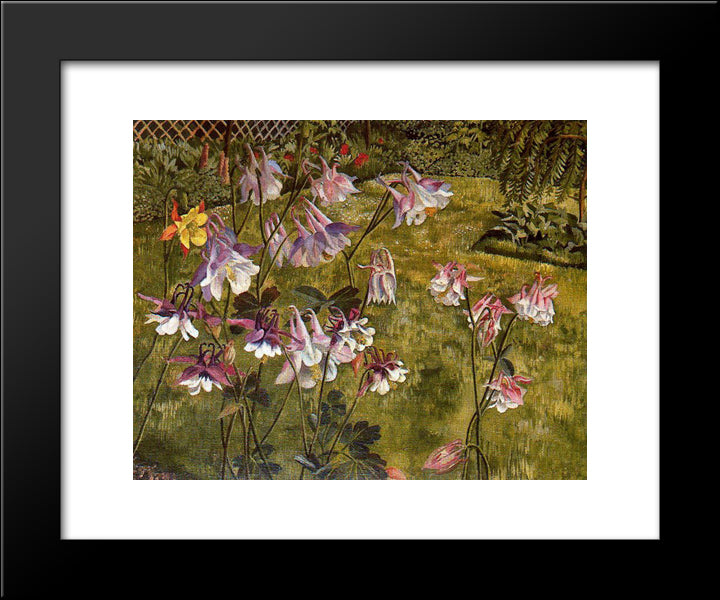 Columbines 20x24 Black Modern Wood Framed Art Print Poster by Spencer, Stanley