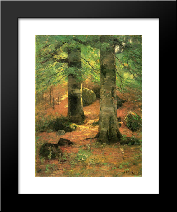 Vernon Beeches 20x24 Black Modern Wood Framed Art Print Poster by Steele, T. C.