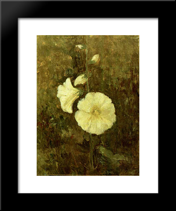 Rose Mallow 20x24 Black Modern Wood Framed Art Print Poster by Pallady, Theodor