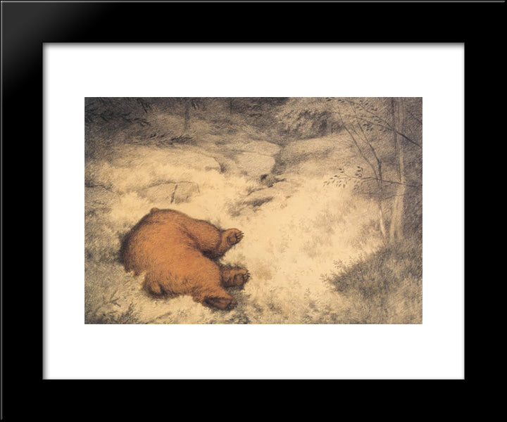 Bruin Asleep In The Blueberry Bushes 20x24 Black Modern Wood Framed Art Print Poster by Kittelsen, Theodor Severin