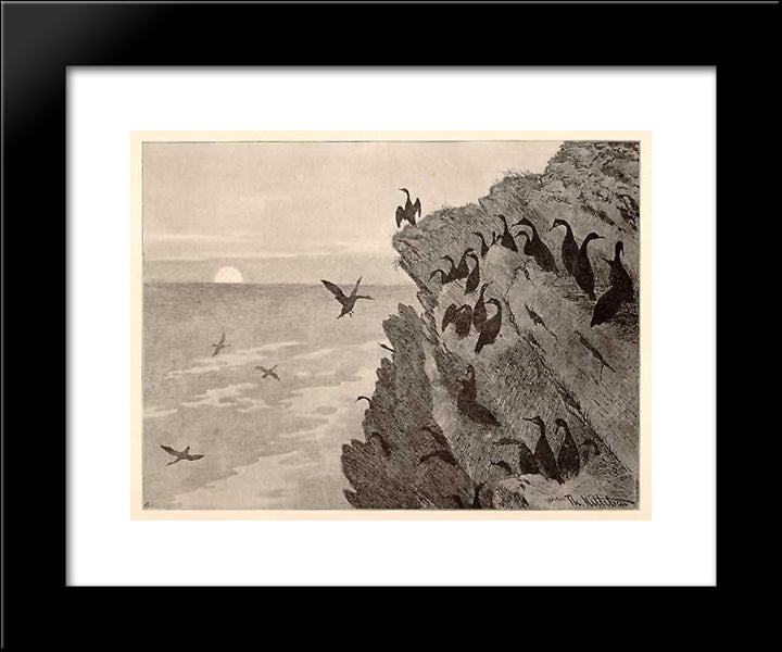 Cormorant 20x24 Black Modern Wood Framed Art Print Poster by Kittelsen, Theodor Severin