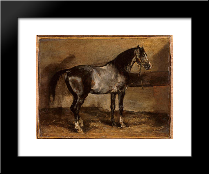 Gray Horse Rack 20x24 Black Modern Wood Framed Art Print Poster by Gericault, Theodore
