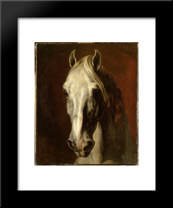 The Head Of White Horse 20x24 Black Modern Wood Framed Art Print Poster by Gericault, Theodore