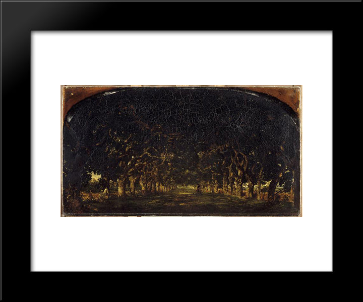 Alley Chestnut From The Castle Shoes 20x24 Black Modern Wood Framed Art Print Poster by Rousseau, Theodore