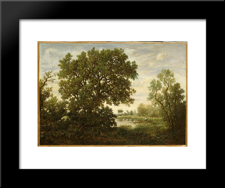The Pond 20x24 Black Modern Wood Framed Art Print Poster by Rousseau, Theodore
