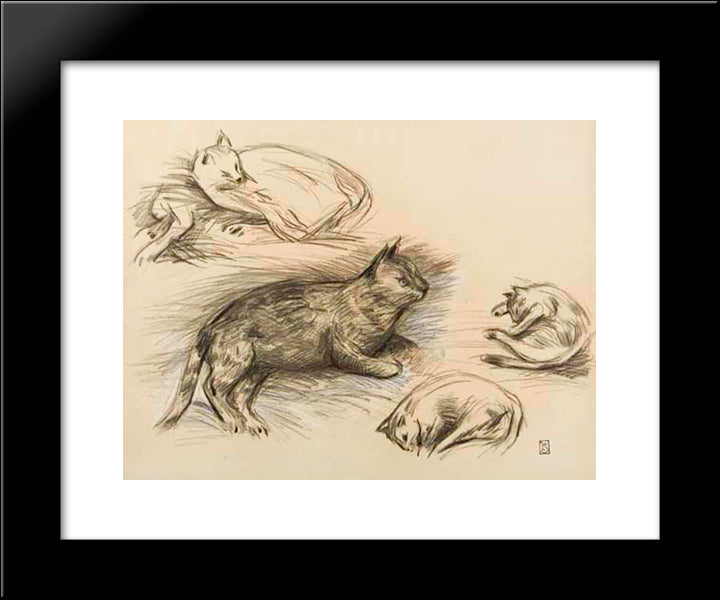 Untitled 20x24 Black Modern Wood Framed Art Print Poster by Steinlen, Theophile