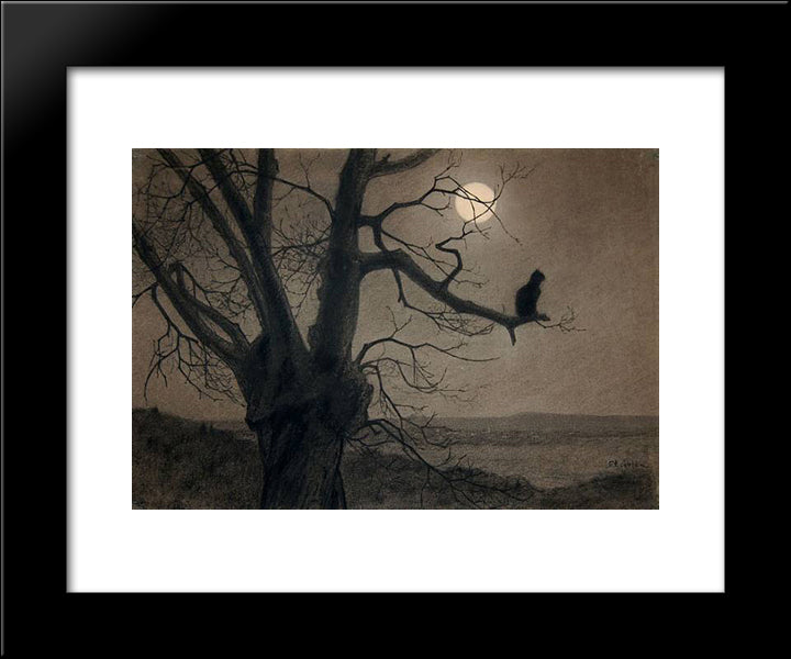 Cat In The Moonlight 20x24 Black Modern Wood Framed Art Print Poster by Steinlen, Theophile