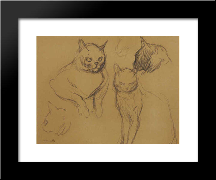 Cat Sketches 20x24 Black Modern Wood Framed Art Print Poster by Steinlen, Theophile
