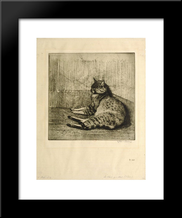 Cat Sleeping In A Corner 20x24 Black Modern Wood Framed Art Print Poster by Steinlen, Theophile