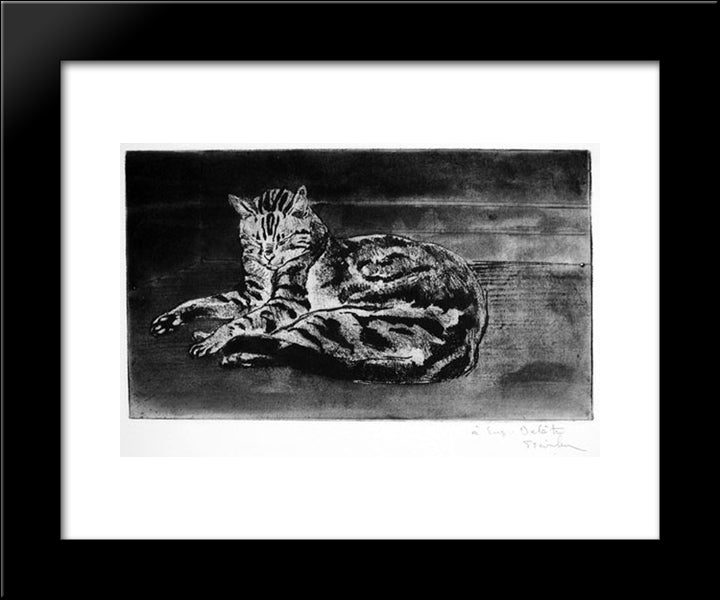 Chat On The Floor 20x24 Black Modern Wood Framed Art Print Poster by Steinlen, Theophile