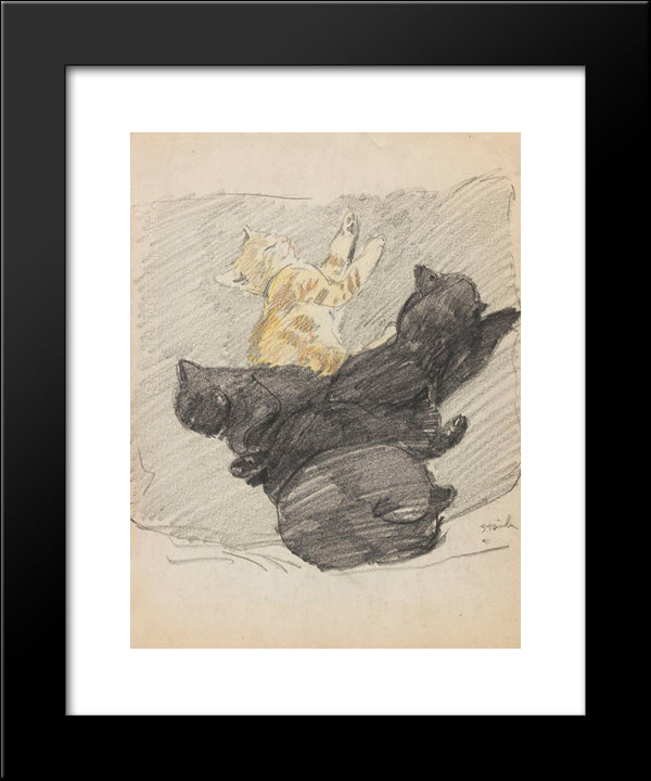 Five Sleeping Cats 20x24 Black Modern Wood Framed Art Print Poster by Steinlen, Theophile