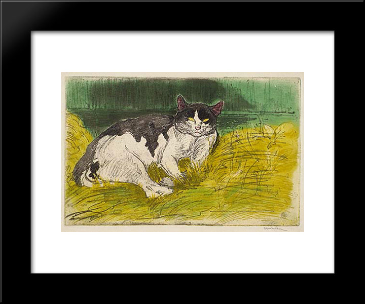 Old Cat 20x24 Black Modern Wood Framed Art Print Poster by Steinlen, Theophile