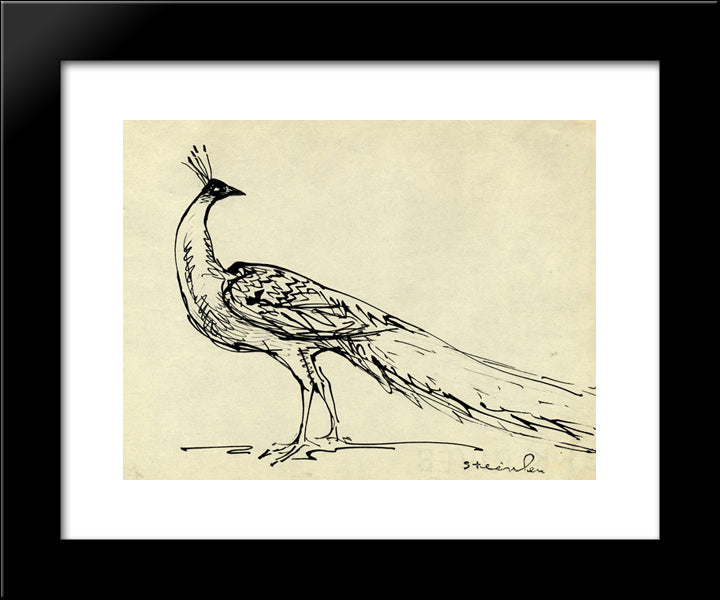 Peacock 20x24 Black Modern Wood Framed Art Print Poster by Steinlen, Theophile
