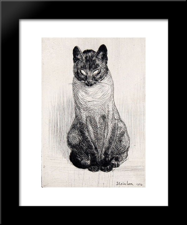 Seated Siamese Cat 20x24 Black Modern Wood Framed Art Print Poster by Steinlen, Theophile