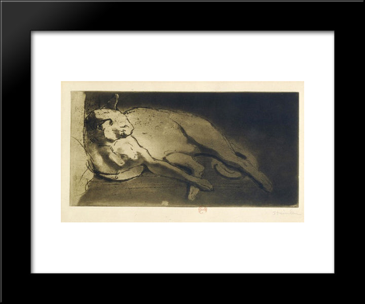 Sleeping Cat 20x24 Black Modern Wood Framed Art Print Poster by Steinlen, Theophile