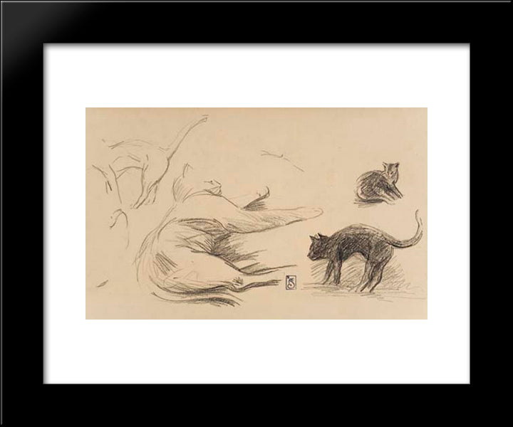Study Of Cats 20x24 Black Modern Wood Framed Art Print Poster by Steinlen, Theophile