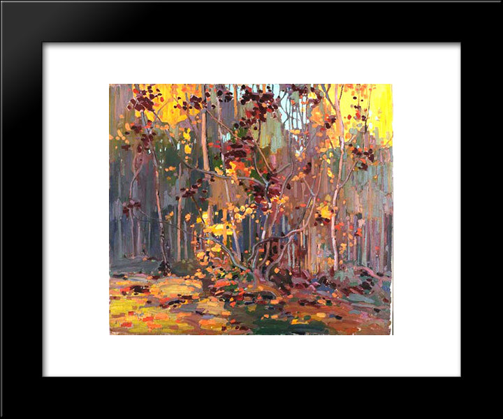 Maple Saplings 20x24 Black Modern Wood Framed Art Print Poster by Thomson, Tom