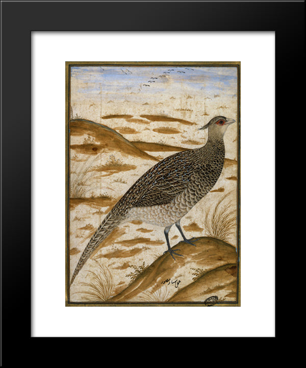 Himalayan Cheer Pheasant 20x24 Black Modern Wood Framed Art Print Poster by Mansur, Ustad