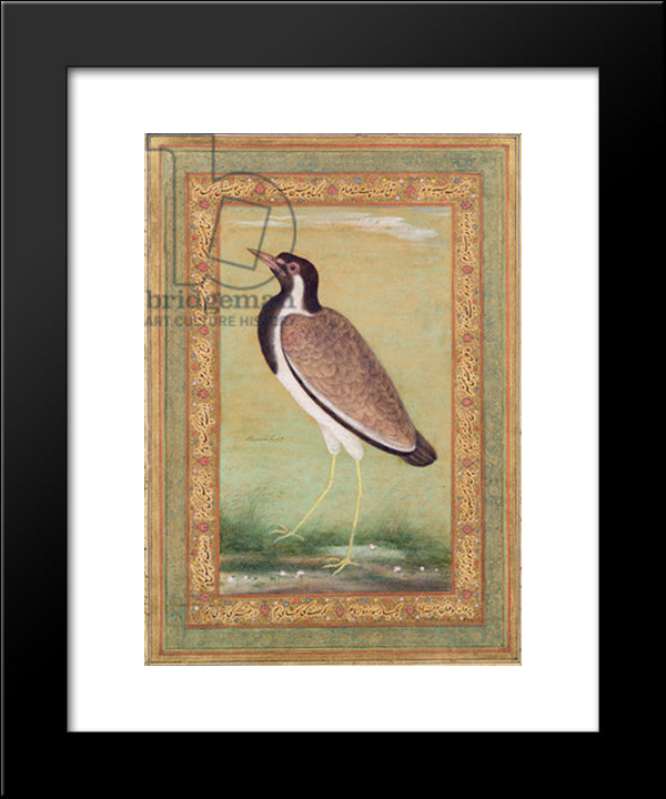 Indian Lapwing 20x24 Black Modern Wood Framed Art Print Poster by Mansur, Ustad