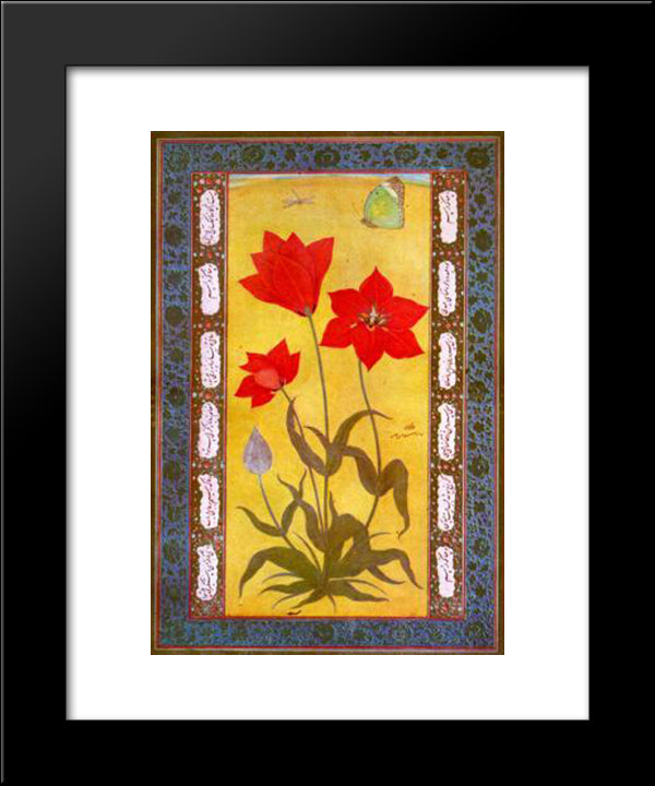 Jahangirshahi 20x24 Black Modern Wood Framed Art Print Poster by Mansur, Ustad
