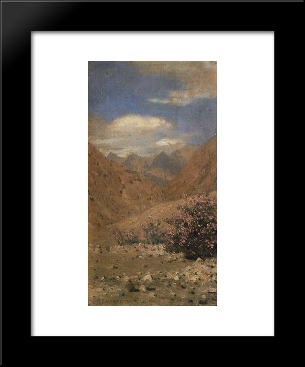 Roses In Ladakh 20x24 Black Modern Wood Framed Art Print Poster by Vereshchagin, Vasily