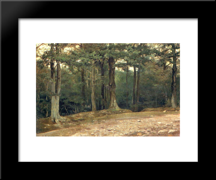 In The Park 20x24 Black Modern Wood Framed Art Print Poster by Vasnetsov, Viktor