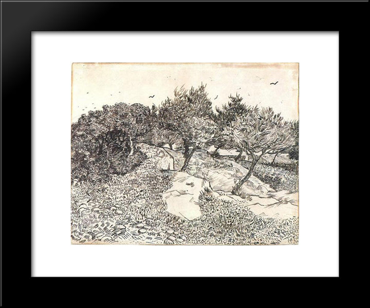 Olive Trees 20x24 Black Modern Wood Framed Art Print Poster by Van Gogh, Vincent