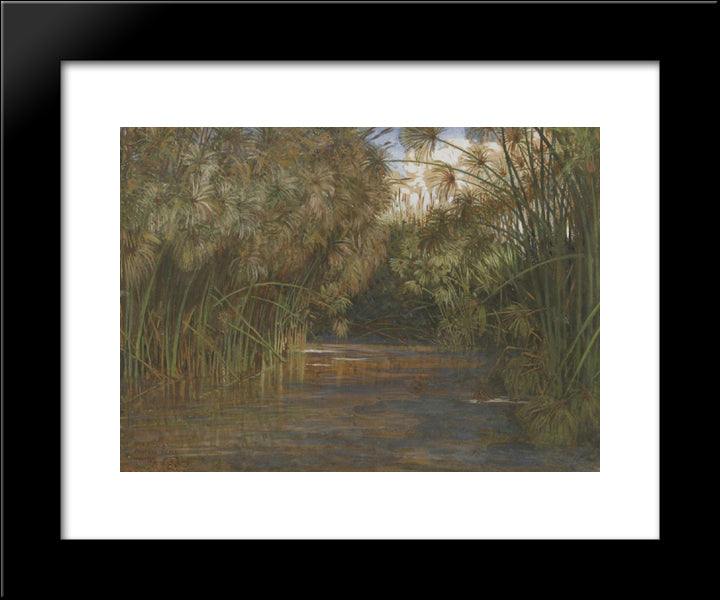 Syracuse, Anapo River 20x24 Black Modern Wood Framed Art Print Poster by Crane, Walter