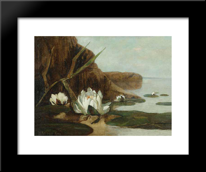 Water Lilies 20x24 Black Modern Wood Framed Art Print Poster by Kotarbinski, Wilhelm