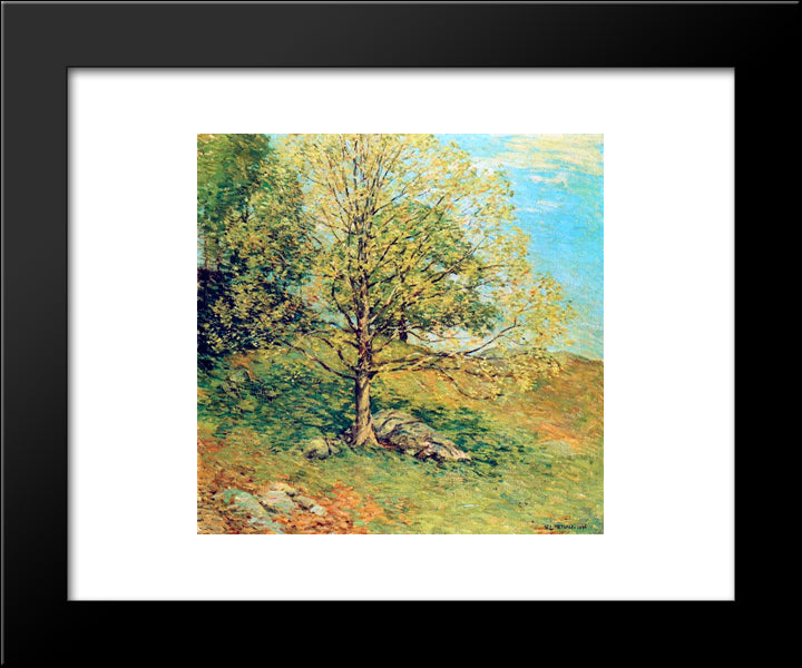 Budding Oak 20x24 Black Modern Wood Framed Art Print Poster by Metcalf, Willard