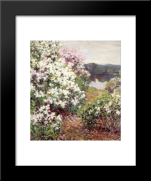 Mountain Laurel 20x24 Black Modern Wood Framed Art Print Poster by Metcalf, Willard