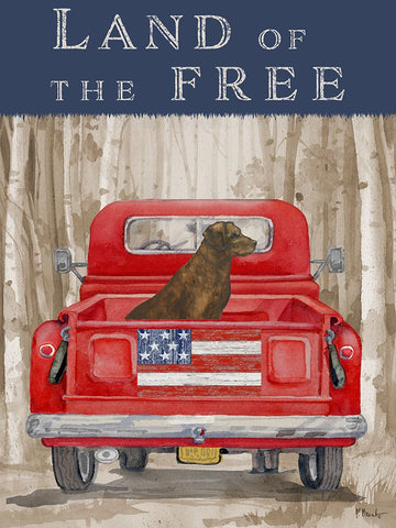 Freedom Forest Truck I Black Modern Wood Framed Art Print by Brent, Paul