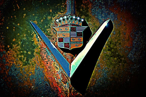 Caddy Black Modern Wood Framed Art Print by Lee, Rachel