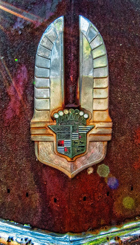 Caddy Wings Black Modern Wood Framed Art Print by Lee, Rachel